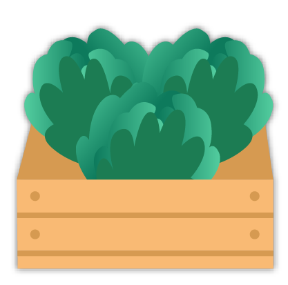 Caja lechuga